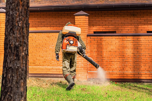 Bed Bug Clearance Verification and Documentation in Osage Beach